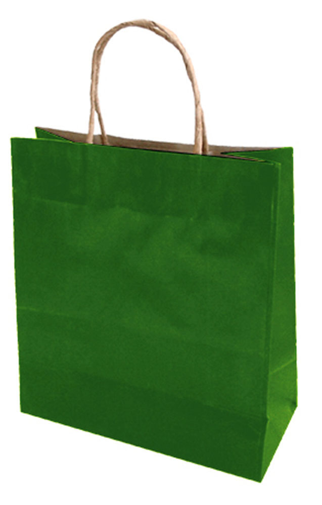 13887-EC Vrećica M natron-ručka zelena 22x25x10 71311 P10/250