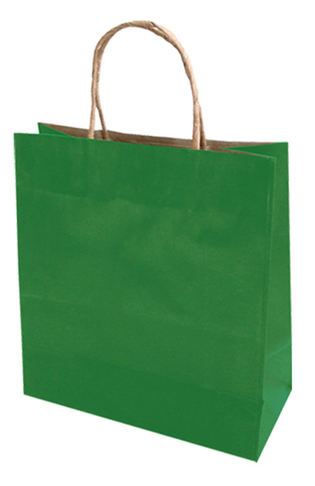 13893-EC Vrećica L natron-ručka zelena 71317 26x8x35cm  P10/250