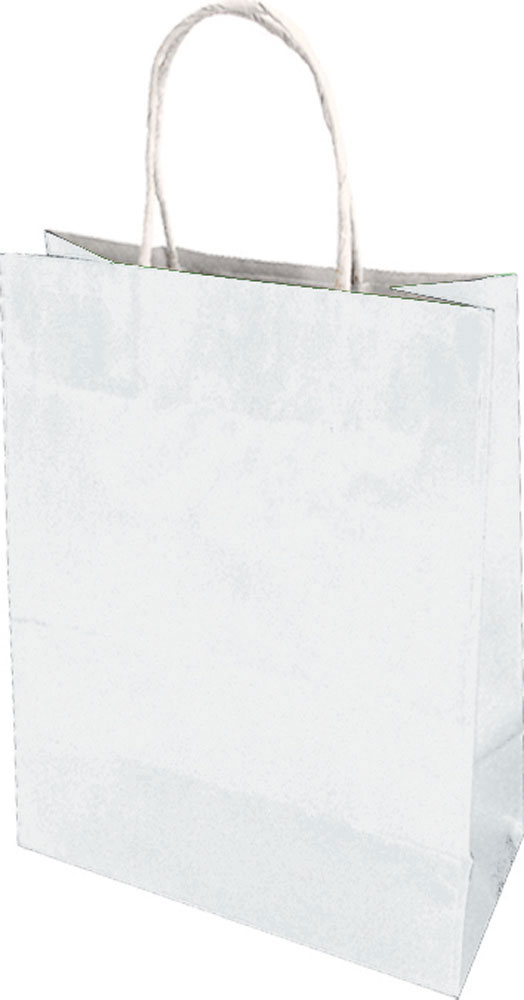 13908-EC Vrećica XL natron-ručka bijela obostrano 31x42x11cm 71339 P10/250