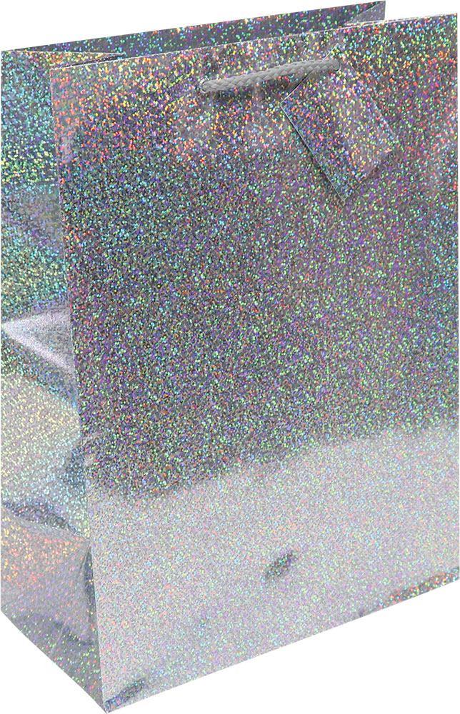 204618-EC Vrećica L hologramska srebrna 26x32,4x12,7cm 71277 P12/144