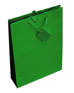 206503-EC Vrećica M jednobojna sjaj zelena 17,8x22,9x9,8 71434 P12/288 NETTO