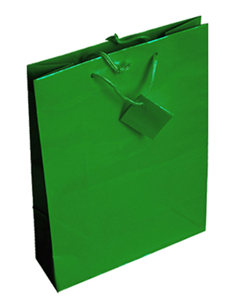 206503-EC Vrećica M jednobojna sjaj zelena 17,8x22,9x9,8 71434 P12/288 NETTO