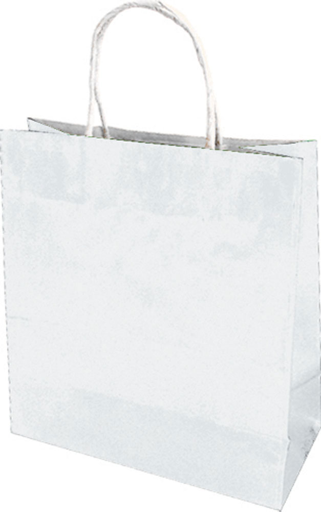 213465-EC Vrećica L natron bijela obostrano 71338 26x8x35cm P10/250