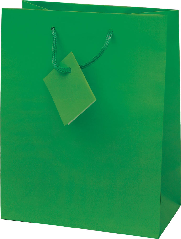 214140-EC Vrećica M jednobojna mat zelena 17,8x22,9x9,8cm 71463 P12/288