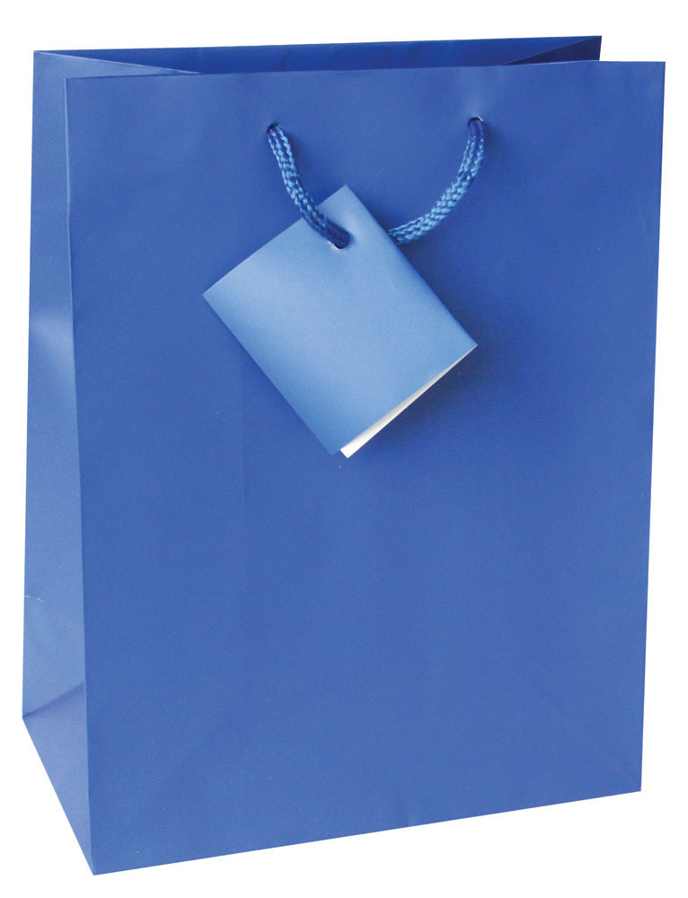 214147-EC Vrećica XL jednobojna mat plava 33x45,7x10,2 71452 P12/144