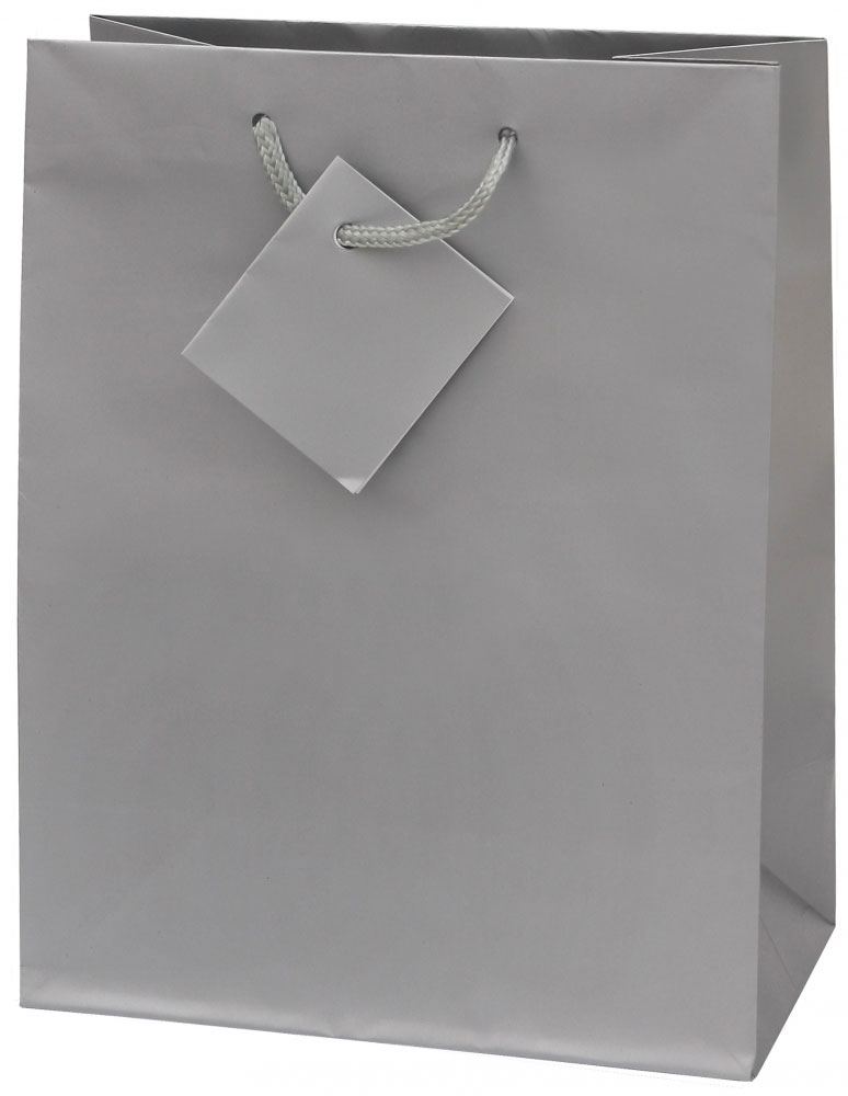 216120-EC Vrećica M jednobojna mat srebrna 17,8x22,9x9,8cm 71468 P12/288