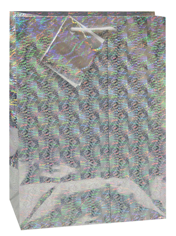 218318-EC Vrećica M hologramska srebrna 17,8x22,9x9,8cm 75032 P12/288
