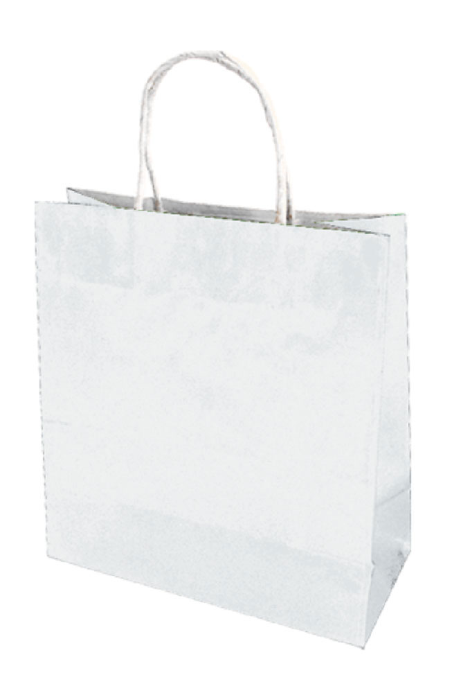 219798-EC Vrećica M natron bijela obostrano 21,5x25x10 71004 P10/250