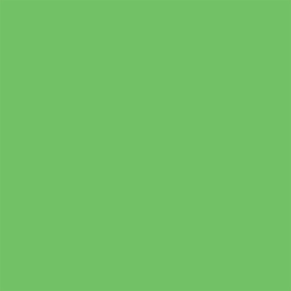 232520-EC Papir hamer B1 220gr.int. svijetlo zeleni GREEN 10/1 HW640 P10