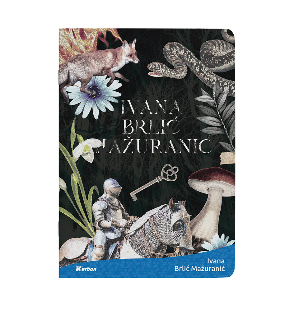 237066-EC Bilježnica A4/D KARBON s memom 42L, P10/60