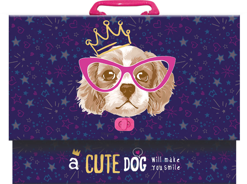 238665-EC Torba aktovka STREET Dog 33x24x5cm P12 NETTO