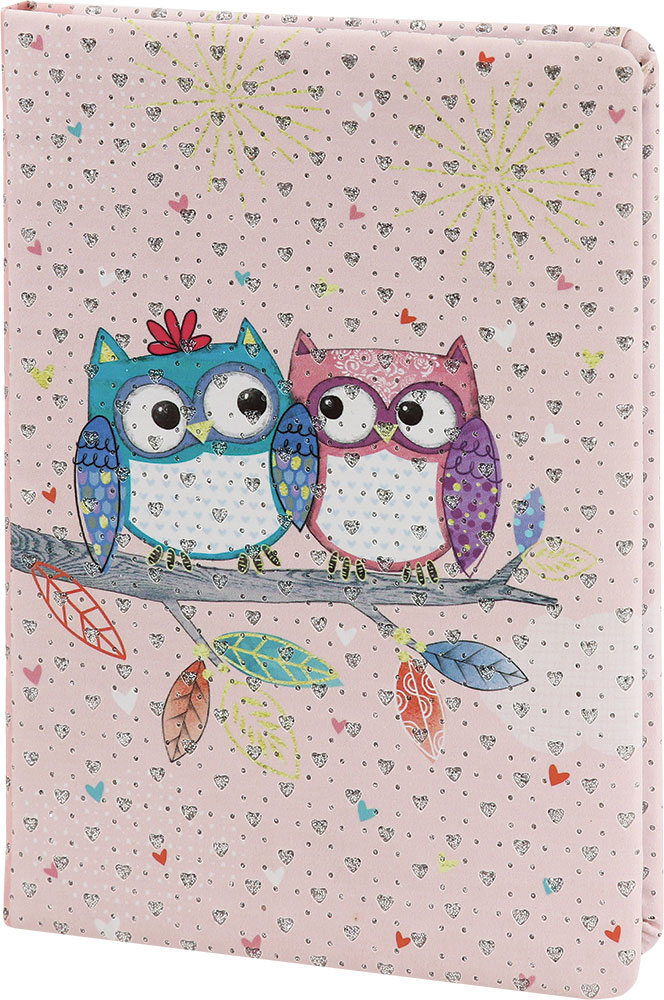 238847-EC Notes CREATIVE A5 Owls od umjetne kože sa glitterima P60 NETTO