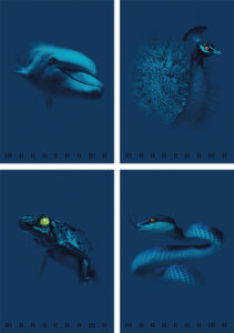 241187-EC Bilježnica A4/K Pigna Monocromo Blue P10/60 NETTO