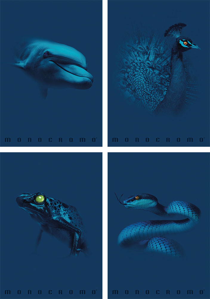 241187-EC Bilježnica A4/K Pigna Monocromo Blue P10/60 NETTO