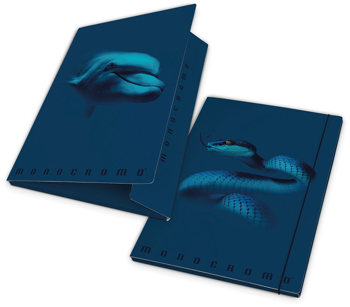 241201-EC Mapa el. Pigna Monocromo Blue P6/24