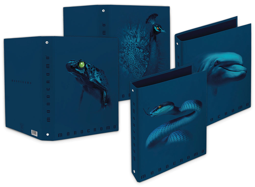 241202-EC Registrator A4 Pigna Monocromo Blue P5/30