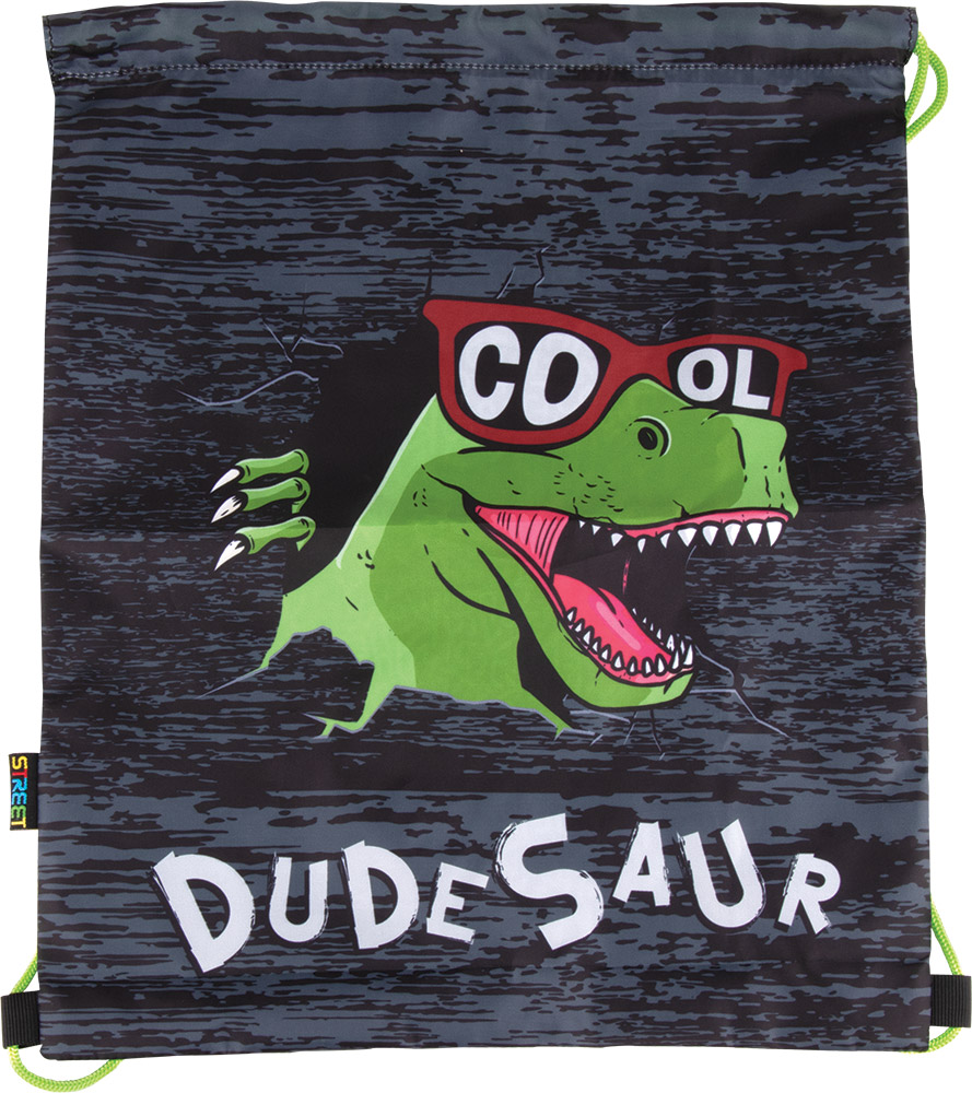 242602-EC Vrećica za papuče Street DUDESAUR P72 NETTO