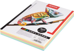 242682-EC Papir fotok.OPTIMA A4 5 boja MIX pastel 80gr. 250/1 P10