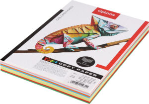 242684-EC Papir fotok.OPTIMA A4 10 boja MIX (5 past.+5 int.) 80gr. 250/1 P10