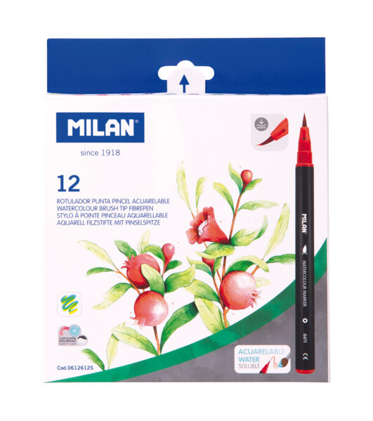 Flomasteri 12/1 vrh kao kist Milan