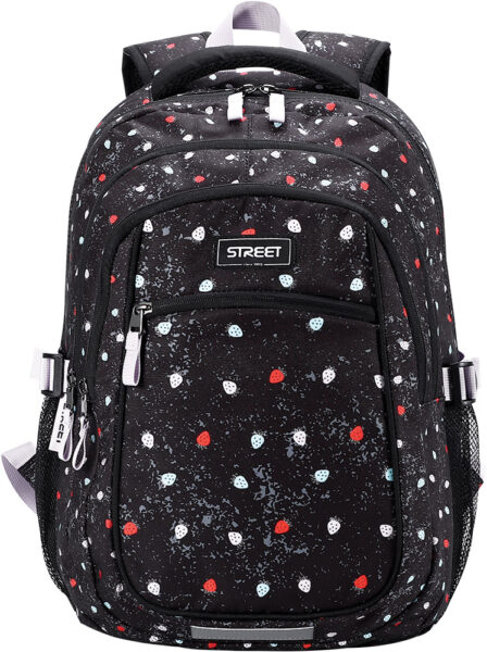 243360-EC Ruksak STREET INFINITY Berry 531127 P25 NETTO