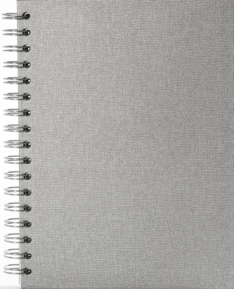 245336-EC Poslovnik SPIRALNI B5 2026 srebrni 16,5x23,5 P25