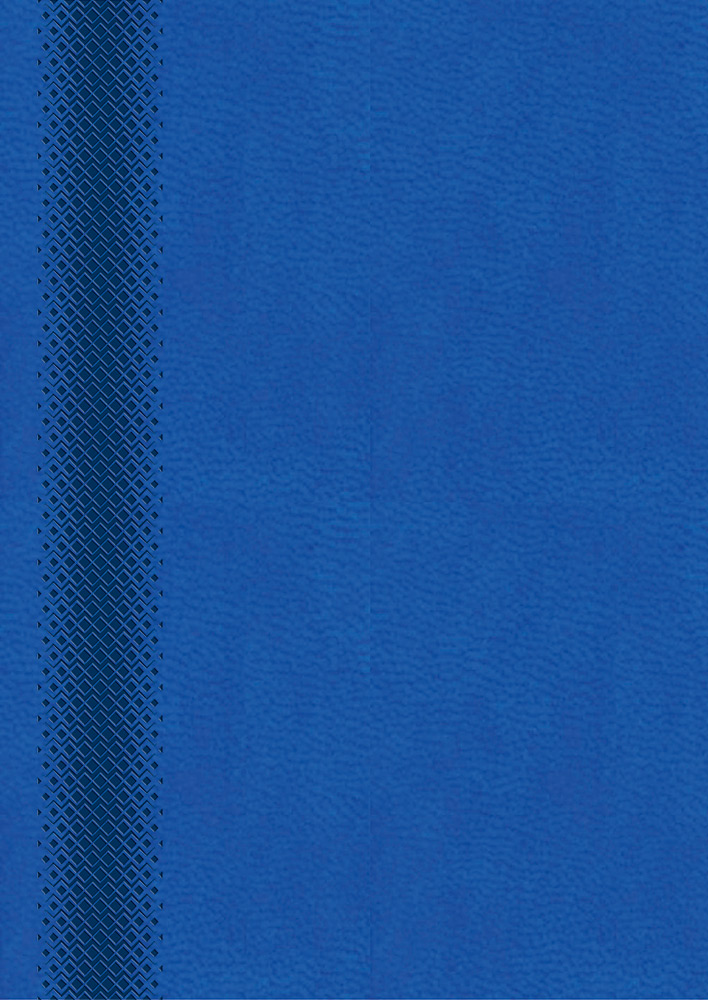 245389-EC Dnevnik MILANO 2025 plavi royal 16,5x23,5 P20