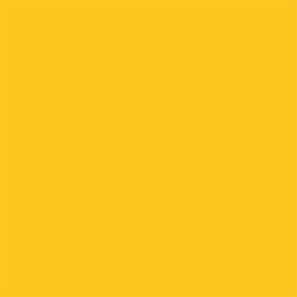 246514-EC Papir hamer B1 220gr. int. zlatna GOLD 21 56828 10/1