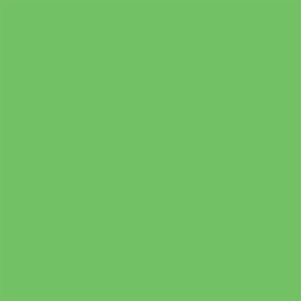 246516-EC Papir hamer B1 220gr. int. sv.zelena BRIGHT GREEN 23 56830 10/1